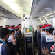 Illustration for article titled Baymax, the Chinese Flight Attendant